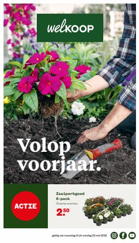 Catalogus van Welkoop in Amsterdam | Volop voorjaar. Welkoop | 9-5-2022 - 22-5-2022