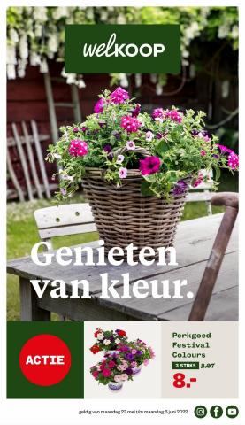 Aanbiedingen van Bouwmarkt & Tuin in Utrecht | Genieten van kleur. Welkoop bij Welkoop | 20-5-2022 - 6-6-2022
