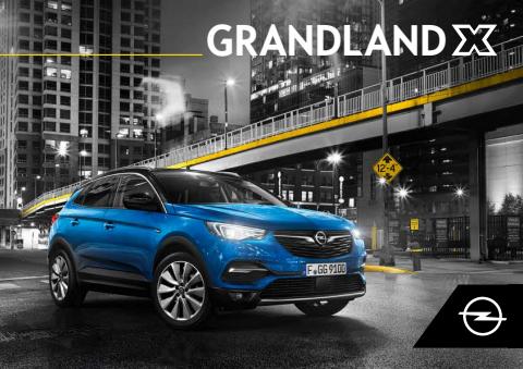 Catalogus van Opel | Grandland X | 22-7-2022 - 31-12-2022