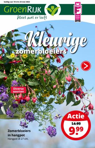 Aanbiedingen van Bouwmarkt & Tuin in Den Haag | Kleurige zomerbloeiers GroenRijk bij GroenRijk | 18-5-2022 - 24-5-2022
