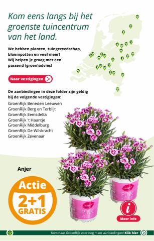 Catalogus van GroenRijk | Kleurige zomerbloeiers GroenRijk | 18-5-2022 - 24-5-2022