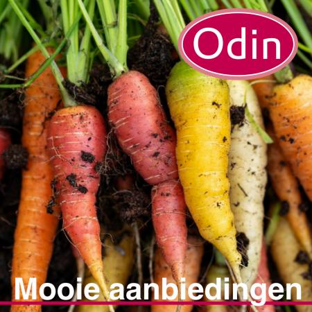 Aanbiedingen van Biomarkt in Amsterdam | Aanbiedingen Odin bij Odin | 23-6-2022 - 30-6-2022