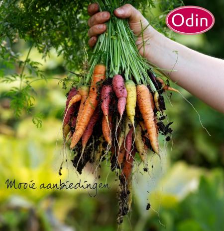 Aanbiedingen van Biomarkt in Den Haag | Aanbiedingen Odin bij Odin | 2-7-2022 - 9-7-2022