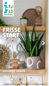 Catalogus van Intratuin | Frisse Start | 24-1-2023 - 29-1-2023