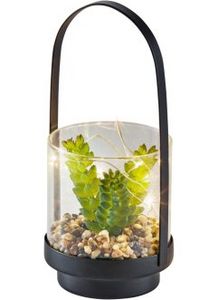 Aanbieding van LED kunstplant in glas voor 9,99€ bij bonprix