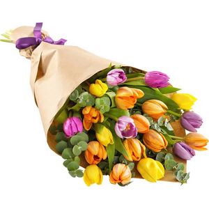 Aanbieding van Bonte tulpen voor 22,99€ bij Euroflorist