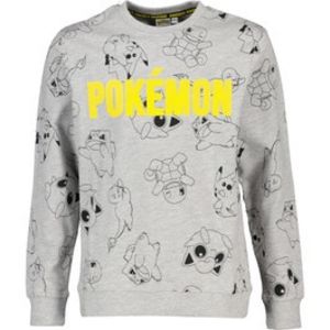 Aanbieding van Tiener sweater Pokémon voor 9,99€ bij Zeeman